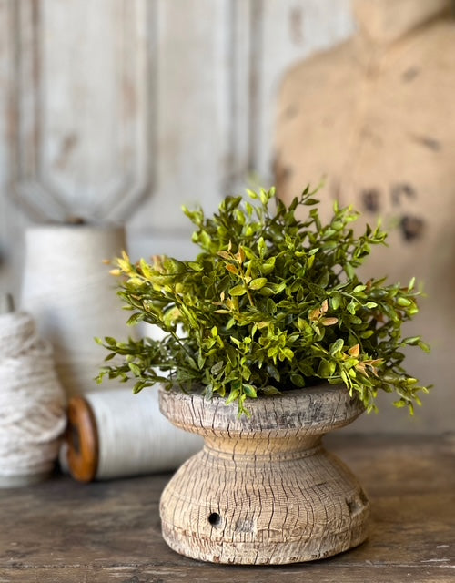 Lemon Beauty Half Sphere | Green | 8"