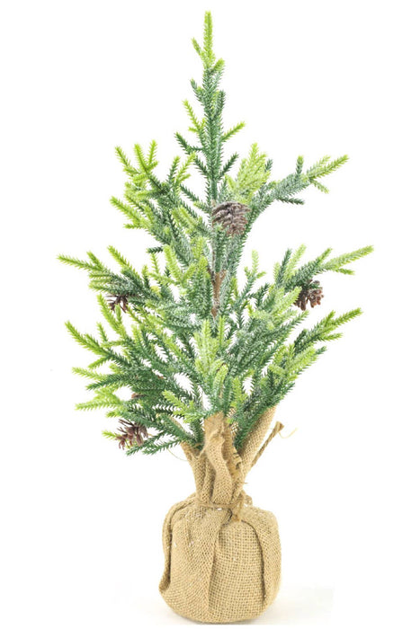 Starlight Trading Co. Ltd. - Snowy Pine Tree