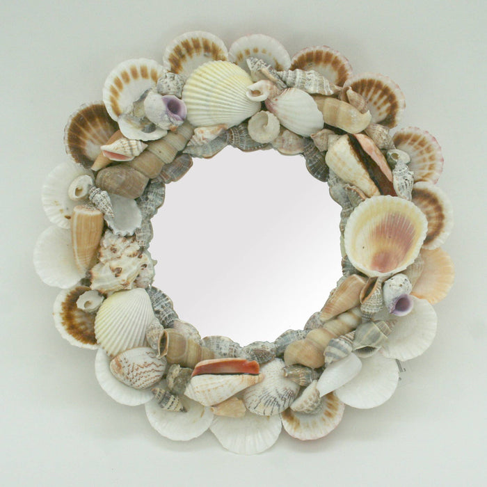 Assorted Shell Mirror