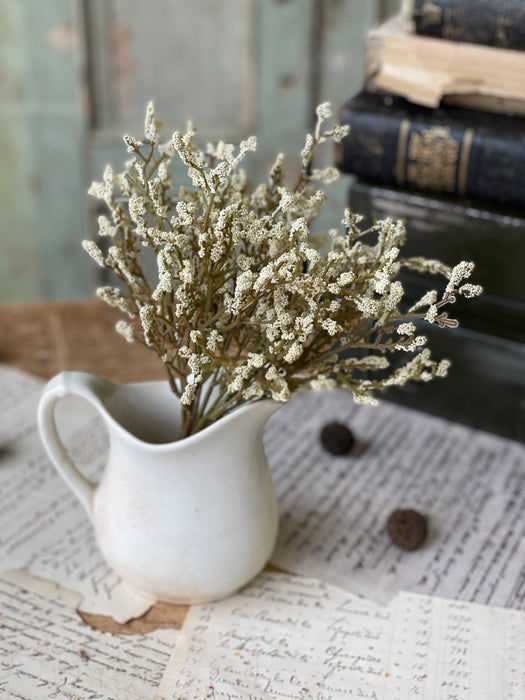 Array Astilbe Bush | Cream with Warm Green Stems