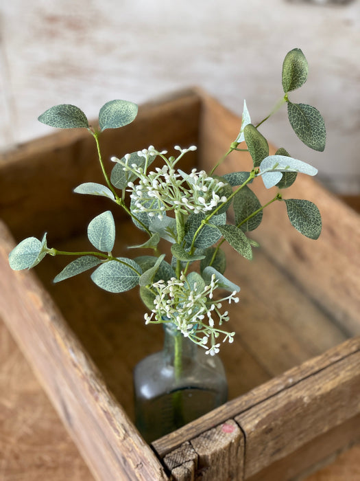 Laceleaf Berry Pick | Flowering Eucalyptus | All-Season Home Decor