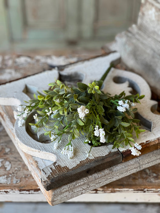 11" Luxberry Bush | Crisp White Flowers on Dark Green Stems