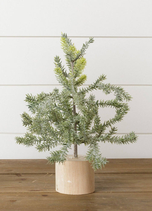 Frosted Pine In Wooden Base, 12 Inches | Christmas Tree Holiday Home Decor