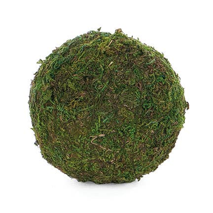 Willow Group - Round Moss Ball