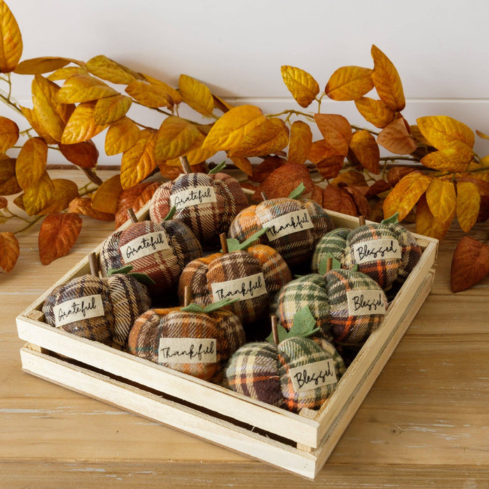 Fall Plaid Pumpkins: Choice of Thankful, Blessed, or Grateful