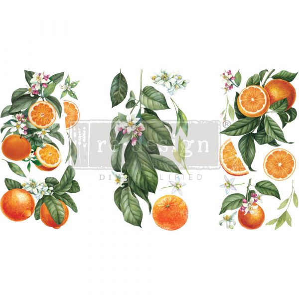 Citrus Slice | Mini Decor Transfer 6 x 12 | Redesign with Prima