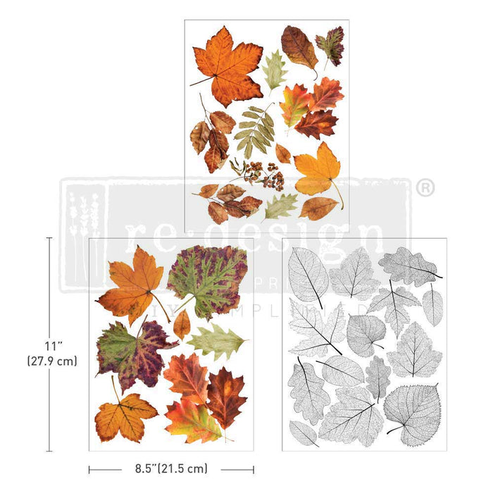 CRUNCHY LEAVES FOREVER – 3 SHEETS, 8.5″X11″ | Middy DECOR TRANSFERS | Redesign with Prima