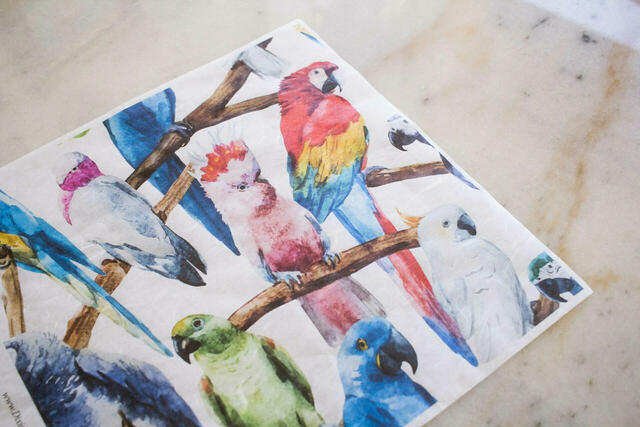 Birds Rice Decoupage Paper by Dixie Belle Paint