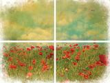 Field of Flowers Transfer by Dixie Belle Paint
