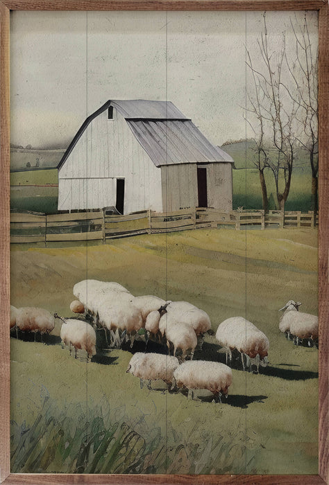 Sheep In Front Of Barn