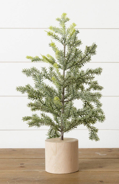 Audrey's - Frosted Pine In Wooden Base, 18 Inches (PC)
