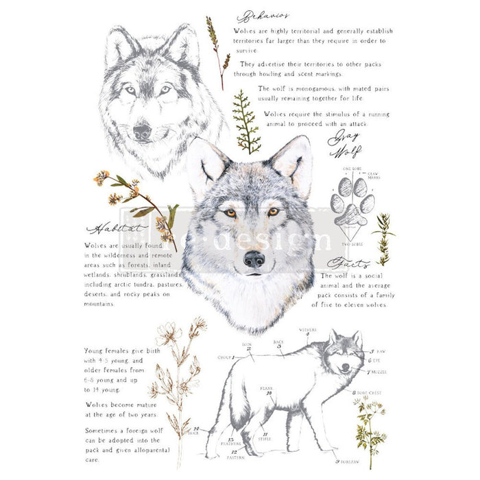 Gray Wolf | Full Size Decor Transfer | Redesign with Prima