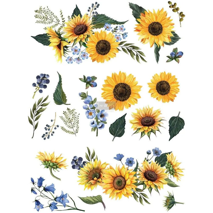 Sunflower Fields | Full Size 22 x 30 | Furniture Transfers by Redesign with Prima